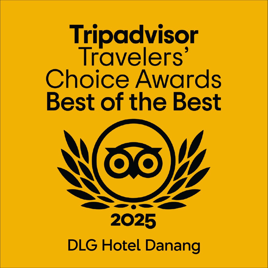 Tripadvisor travelers choice award